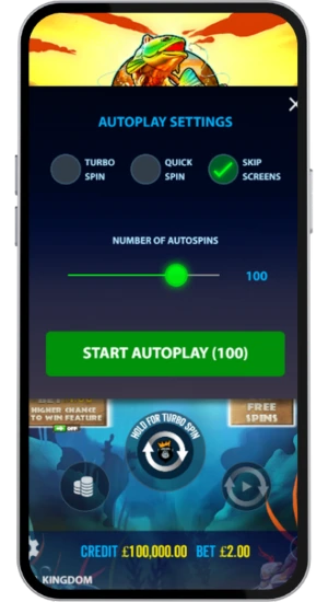 Autoplay settings menu with options
