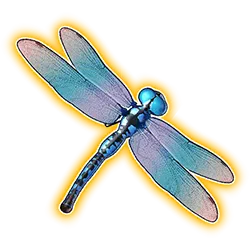 Symbol Dragonfly in Big Bass Floats My Boat